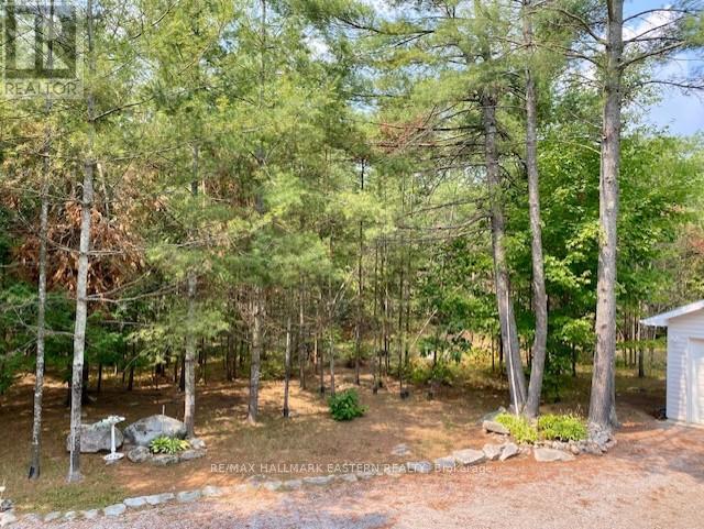 39 Buckhorn Narrows Road, Trent Lakes, Ontario  K0L 1J0 - Photo 24 - X12325696