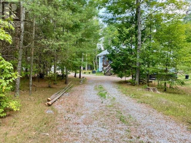 39 Buckhorn Narrows Road, Trent Lakes, Ontario  K0L 1J0 - Photo 26 - X12325696
