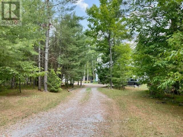 39 Buckhorn Narrows Road, Trent Lakes, Ontario  K0L 1J0 - Photo 28 - X12325696