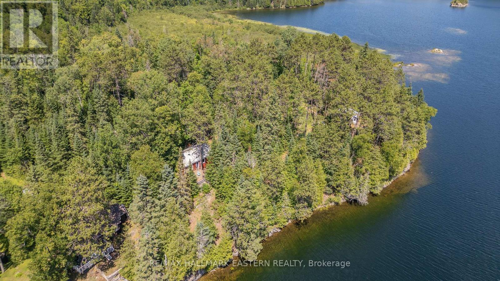 0 Trout Lake Road, Addington Highlands (Addington Highlands), Ontario  K0L 2M0 - Photo 10 - X12325744