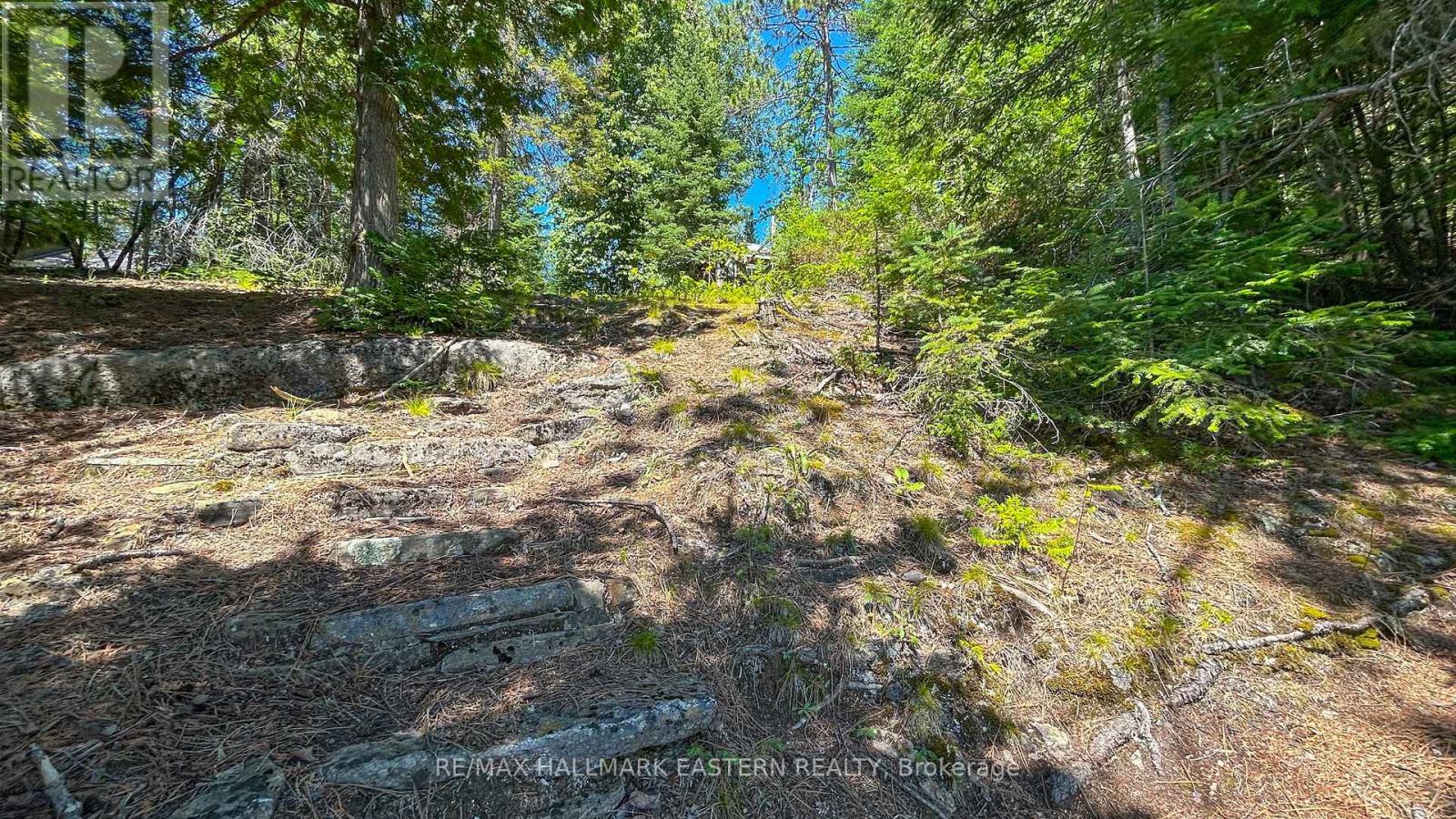0 Trout Lake Road, Addington Highlands (Addington Highlands), Ontario  K0L 2M0 - Photo 14 - X12325744