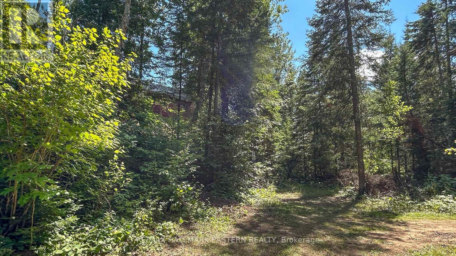 0 Trout Lake Road, Addington Highlands (Addington Highlands), Ontario  K0L 2M0 - Photo 20 - X12325744