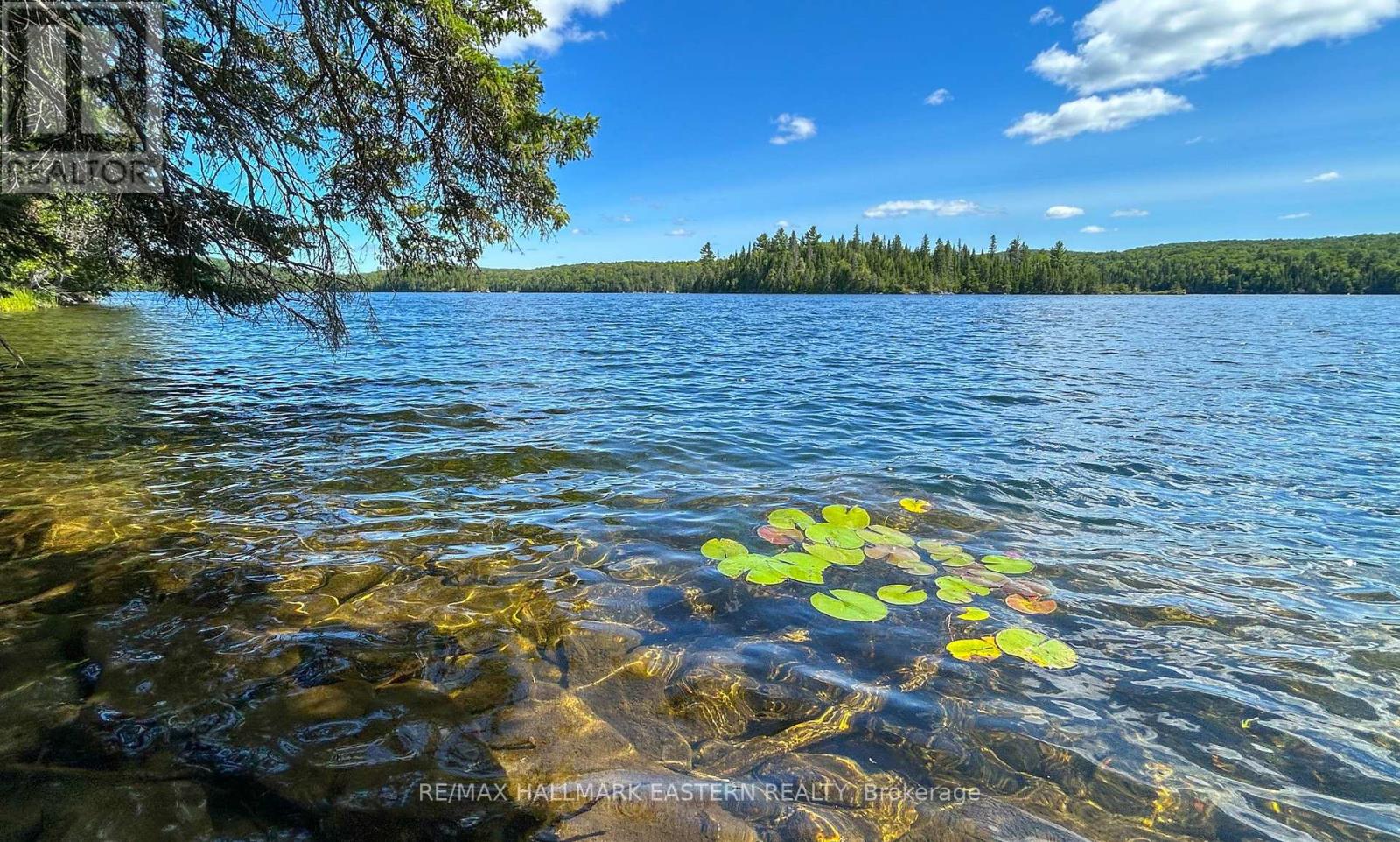 0 Trout Lake Road, Addington Highlands (Addington Highlands), Ontario  K0L 2M0 - Photo 35 - X12325744
