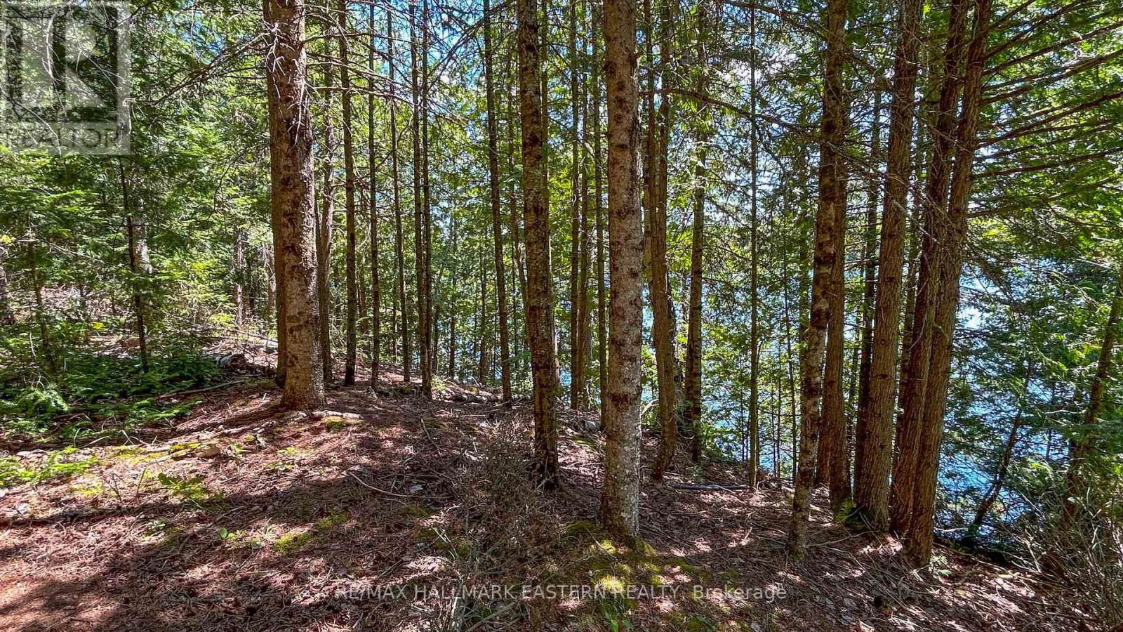 0 Trout Lake Road, Addington Highlands (Addington Highlands), Ontario  K0L 2M0 - Photo 46 - X12325744