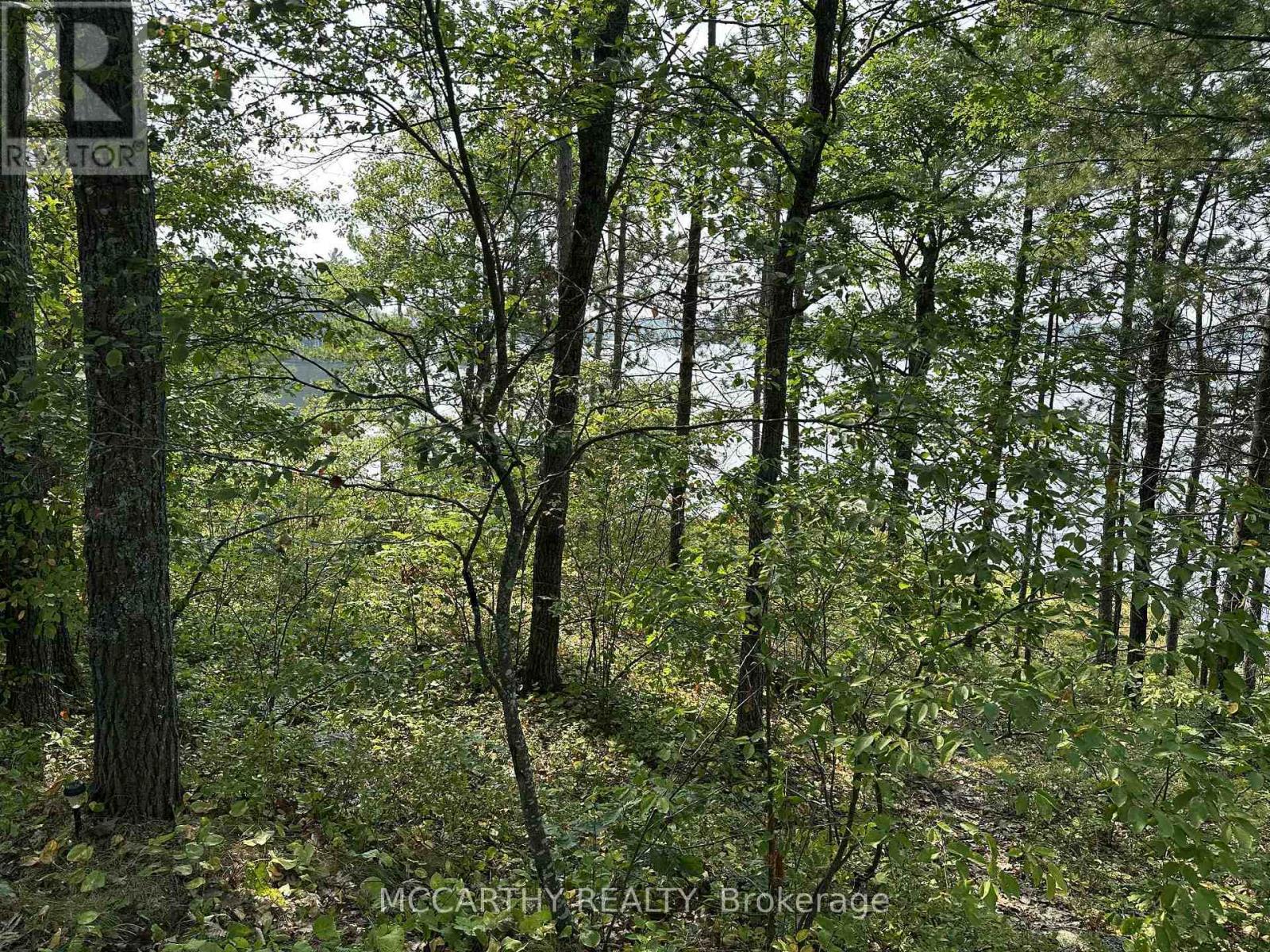 23 Fire 83c Route, Havelock-Belmont-Methuen, Ontario  K0L 1Z0 - Photo 40 - X12326473