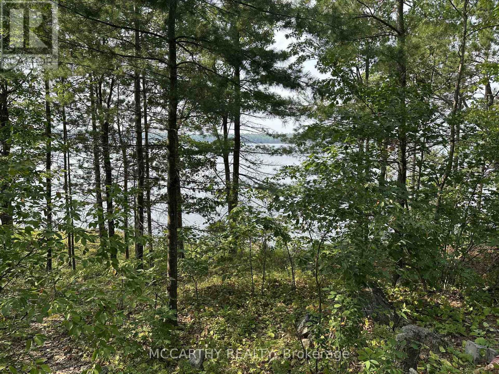 23 Fire 83c Route, Havelock-Belmont-Methuen, Ontario  K0L 1Z0 - Photo 41 - X12326473