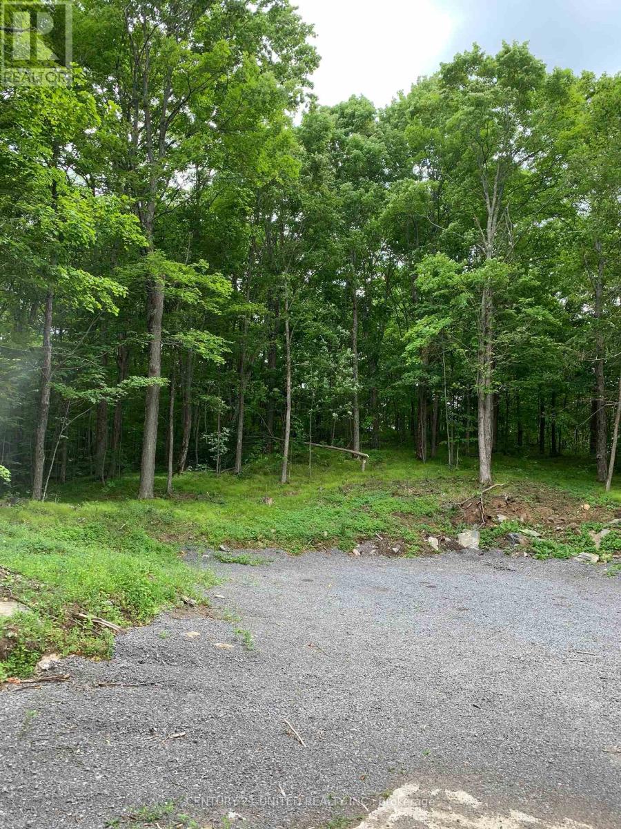 1282 Vansickle Road, Havelock-Belmont-Methuen (Belmont-Methuen), Ontario  K0L 1Z0 - Photo 34 - X12326623