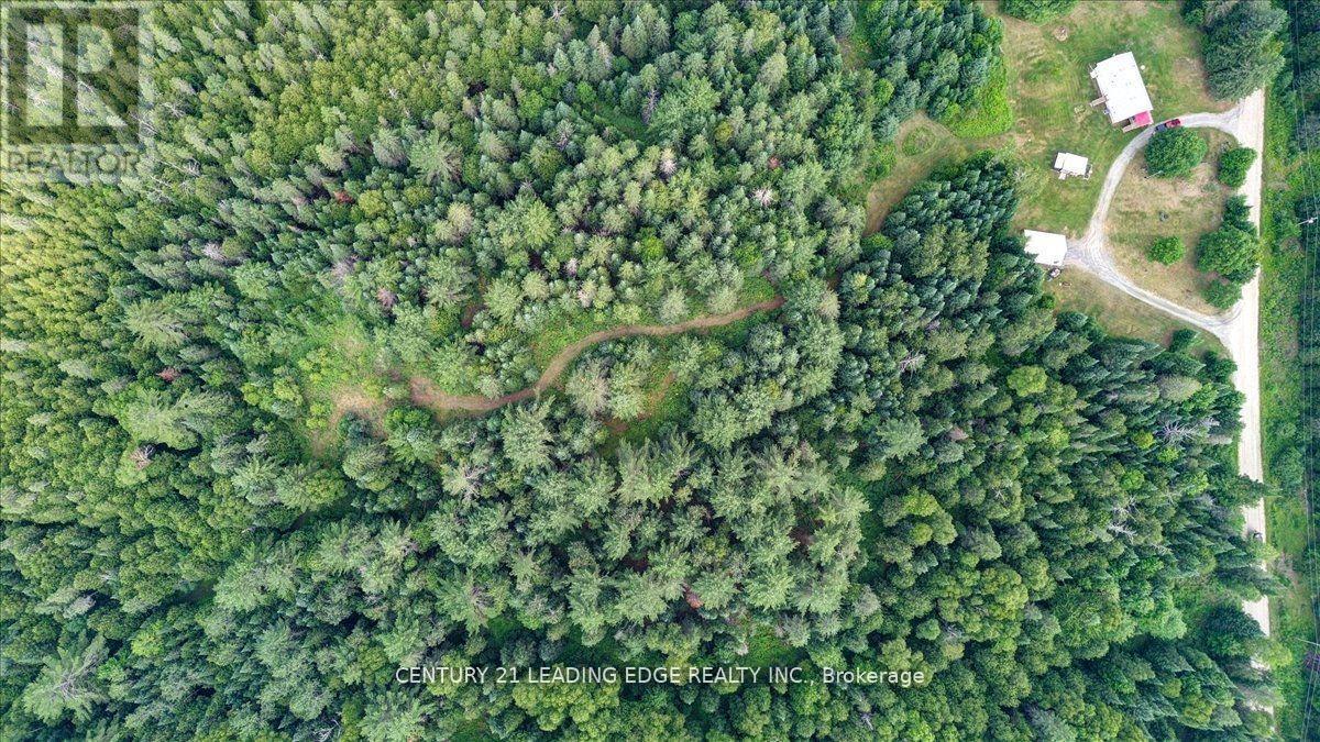281 Crawford Road, Bancroft (Dungannon Ward), Ontario  K0L 2L0 - Photo 36 - X12326610