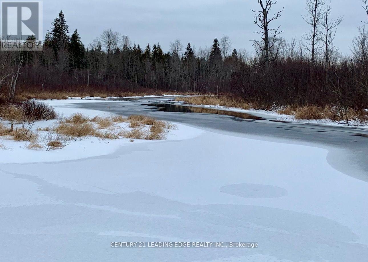 281 Crawford Road, Bancroft (Dungannon Ward), Ontario  K0L 2L0 - Photo 41 - X12326610
