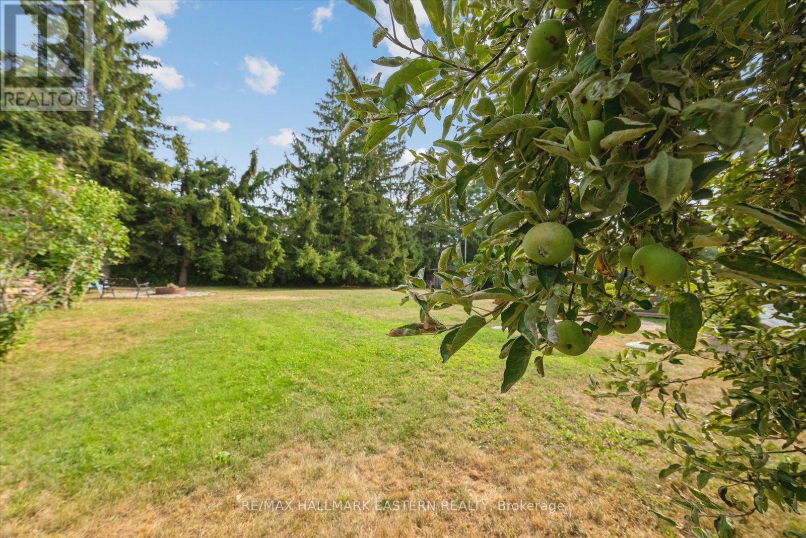 971 Jopling Drive, Selwyn, Ontario  K0L 1H0 - Photo 22 - X12326974