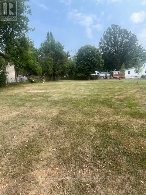 12 Alma Street N, Kawartha Lakes (Omemee), Ontario  K0L 2W0 - Photo 2 - X12328635