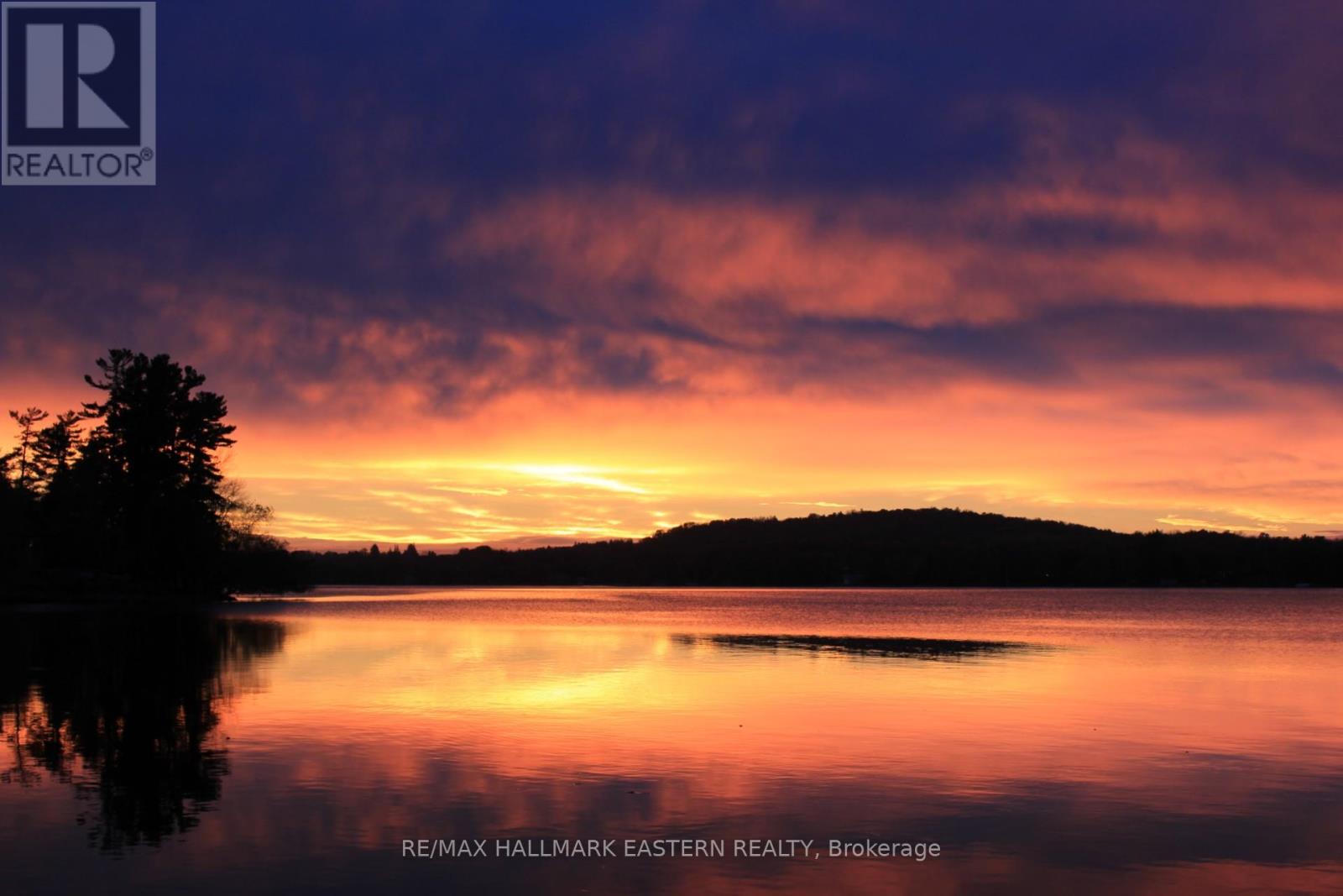 920 Westlake Drive, Selwyn, Ontario  K0L 1H0 - Photo 49 - X12329262