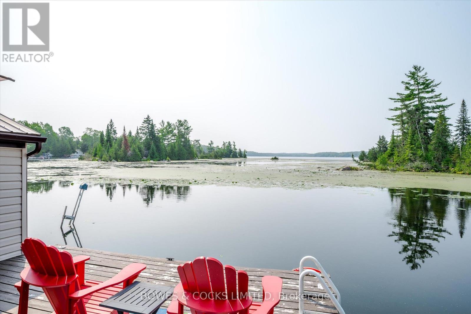 2151 Little Chipmunk Road, Douro-Dummer, Ontario  K0L 2H0 - Photo 37 - X12329980