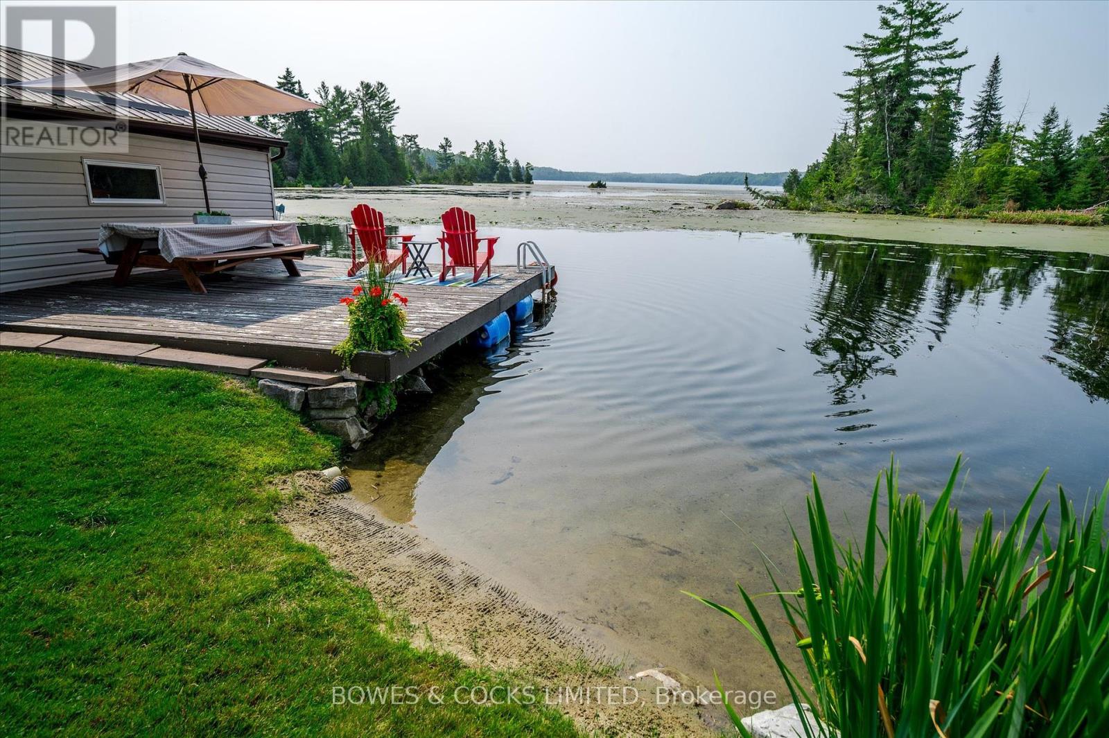 2151 Little Chipmunk Road, Douro-Dummer, Ontario  K0L 2H0 - Photo 39 - X12329980