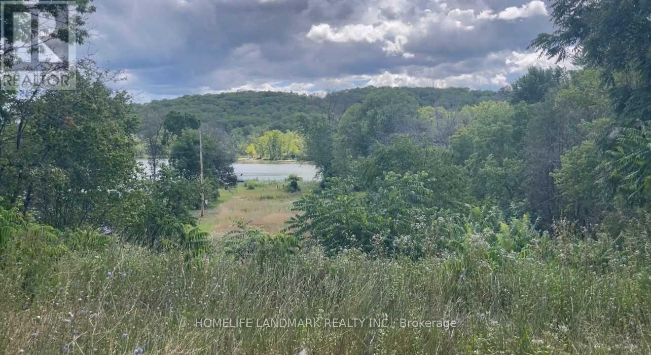 1355 County Rd 45, Asphodel-Norwood, Ontario  K0L 2V0 - Photo 4 - X12331035