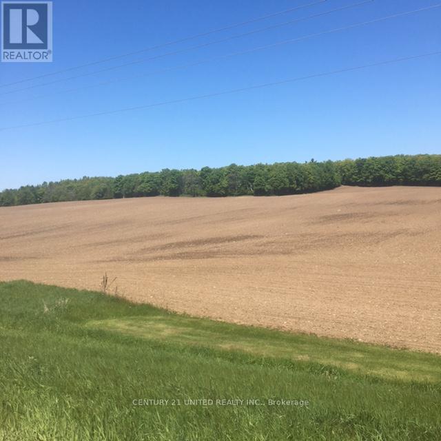 3151 County Rd 2, Otonabee-South Monaghan, Ontario  K0L 2G0 - Photo 5 - X12331460