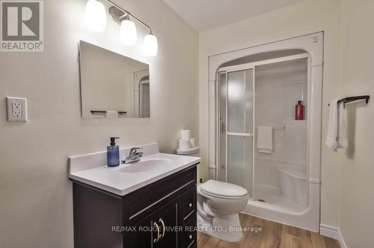 333 Mary Street W, Kawartha Lakes (Lindsay), Ontario  K9V 5X5 - Photo 31 - X12333469