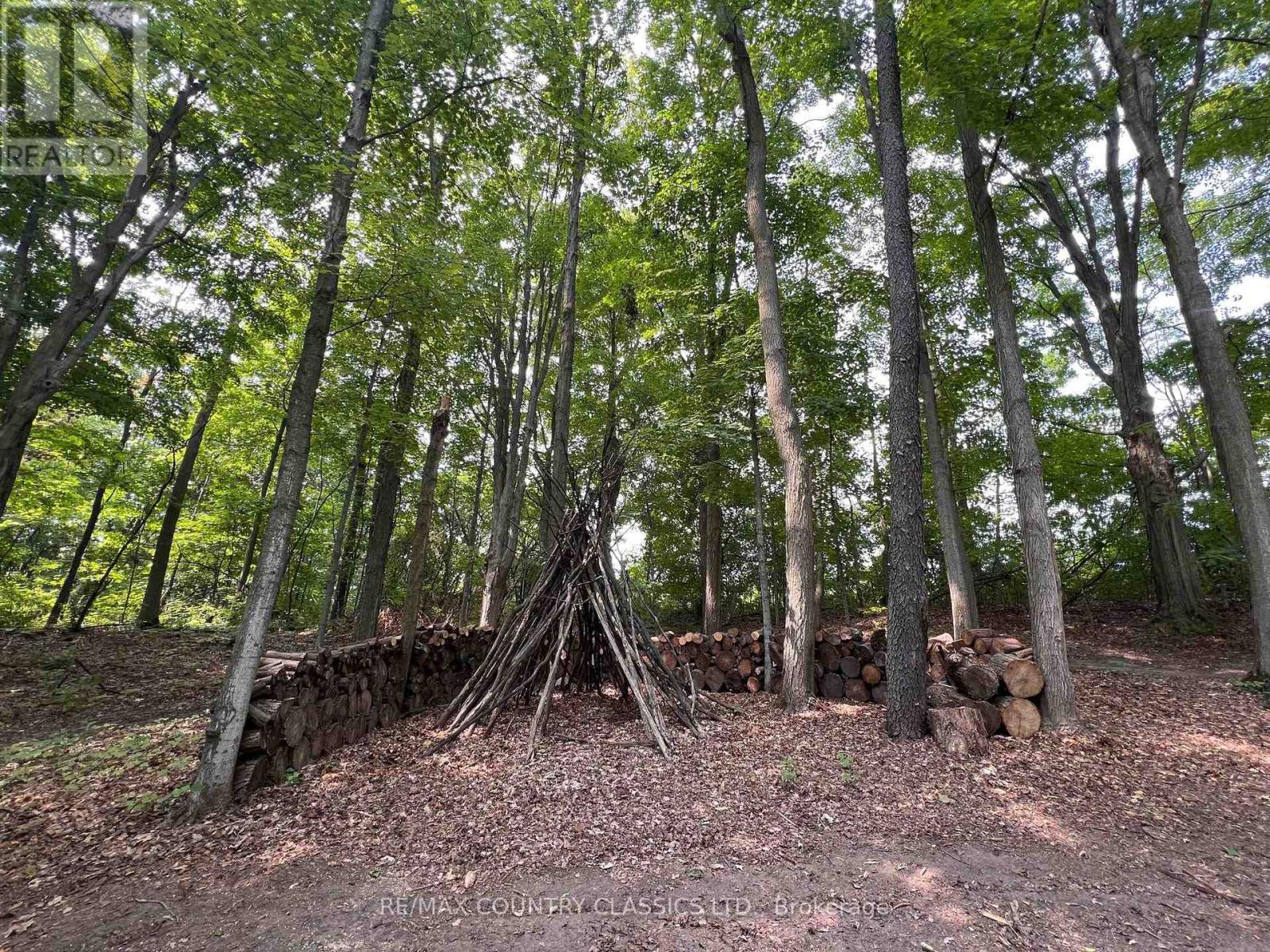 86 Scriven Road, Otonabee-South Monaghan, Ontario  K0L 1B0 - Photo 28 - X12333902