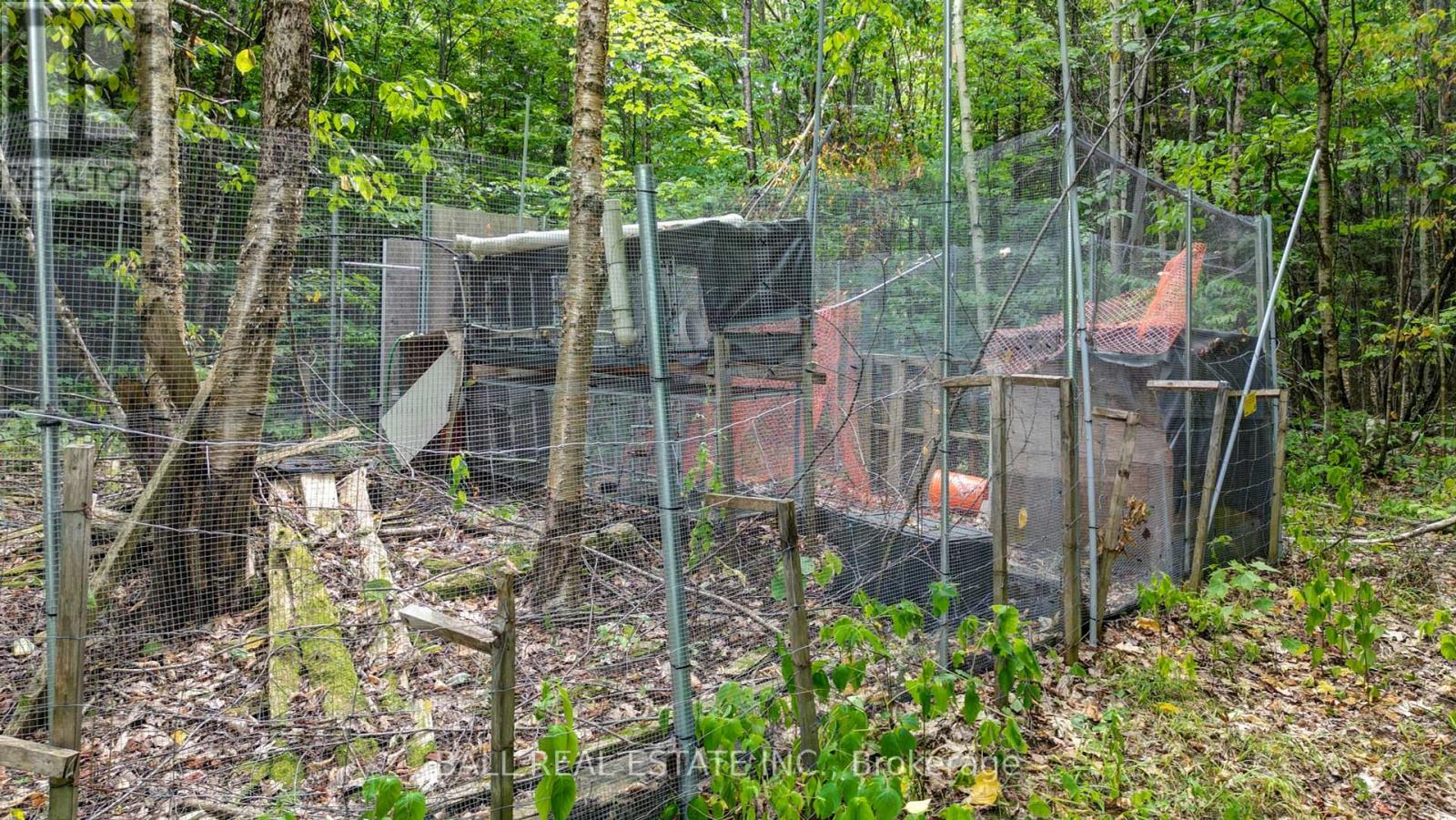 2884 Old Hastings Road, Limerick, Ontario  K0L 1P0 - Photo 38 - X12334093
