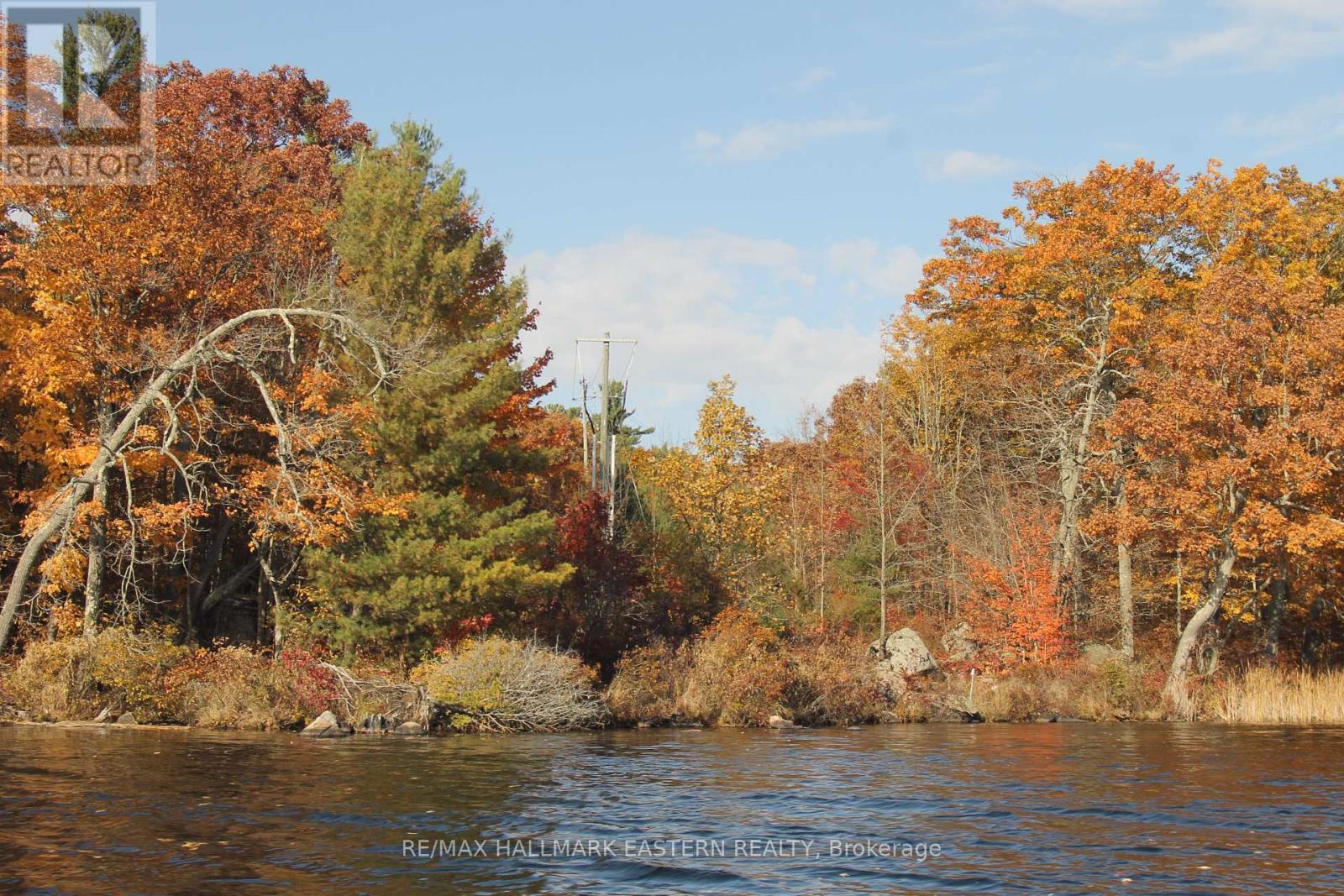Lot 2 - C280 Lower Buckhorn Lake, Trent Lakes, Ontario  K0L 1J0 - Photo 4 - X12334160