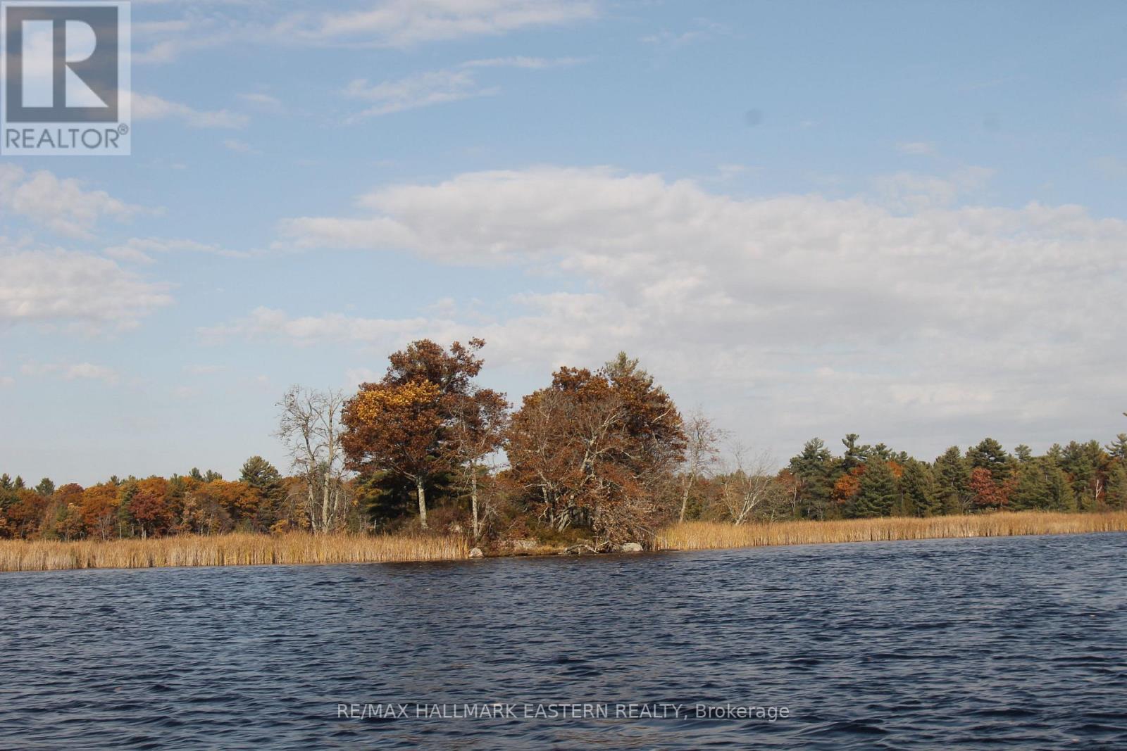 Lot 2 - C280 Lower Buckhorn Lake, Trent Lakes, Ontario  K0L 1J0 - Photo 5 - X12334160
