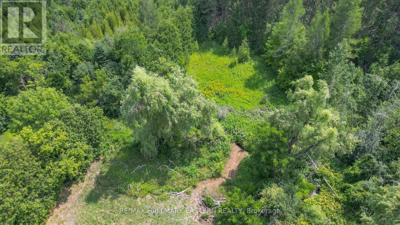 751 Ford Crescent, Cavan Monaghan (Cavan Twp), Ontario  L0A 1C0 - Photo 16 - X12335056