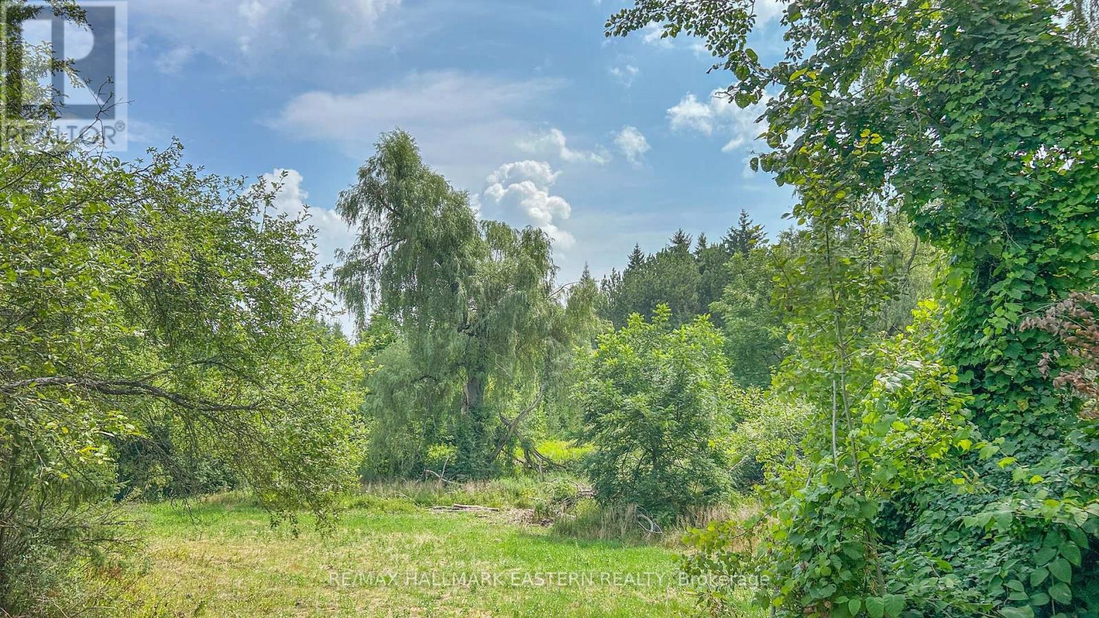 751 Ford Crescent, Cavan Monaghan (Cavan Twp), Ontario  L0A 1C0 - Photo 19 - X12335056
