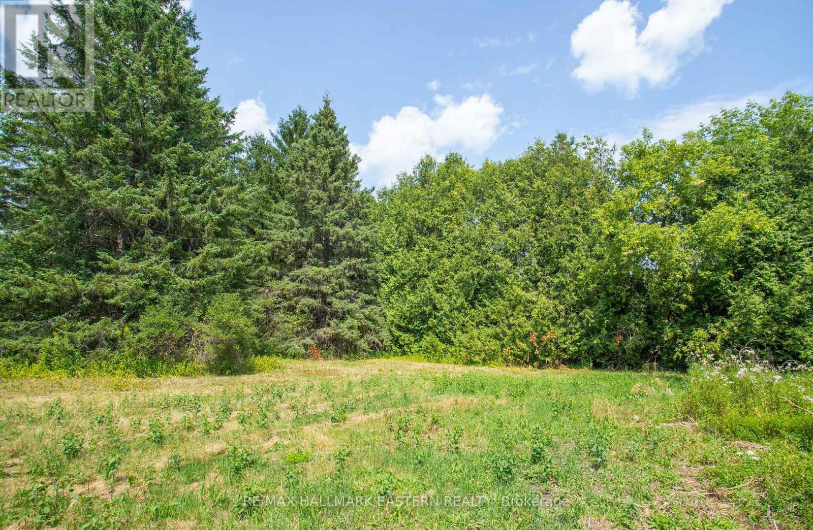 751 Ford Crescent, Cavan Monaghan (Cavan Twp), Ontario  L0A 1C0 - Photo 20 - X12335056