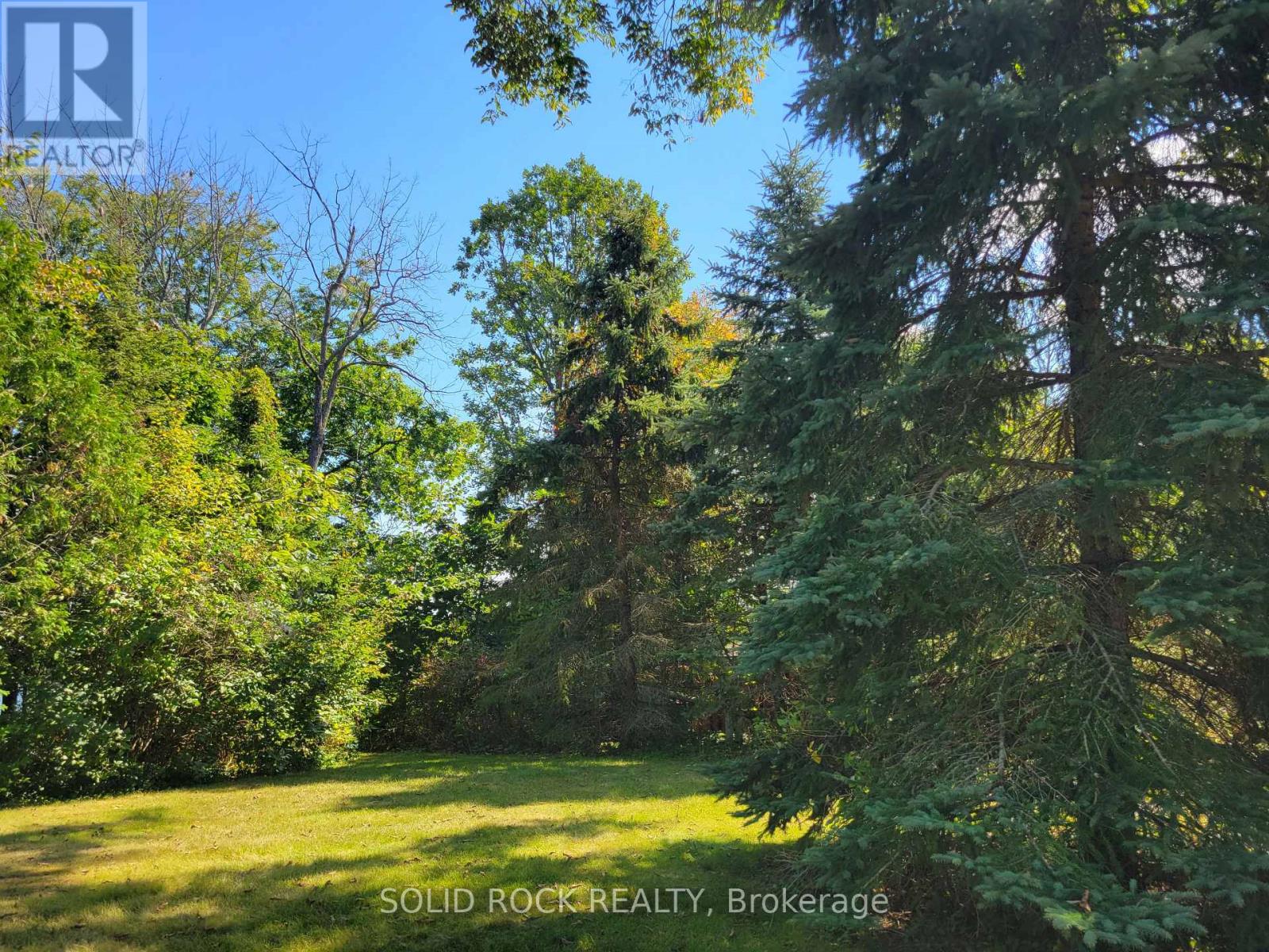 50 Canal Road, Trent Hills (Campbellford), Ontario  K0L 1L0 - Photo 40 - X12335249