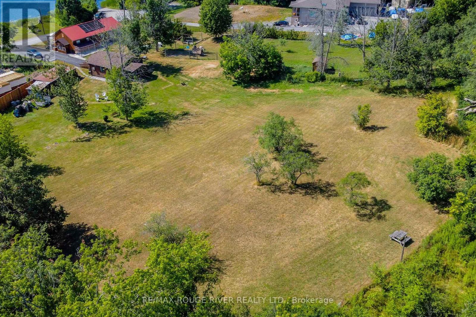 810 Canal Road, Douro-Dummer, Ontario  K9L 1A1 - Photo 39 - X12335904