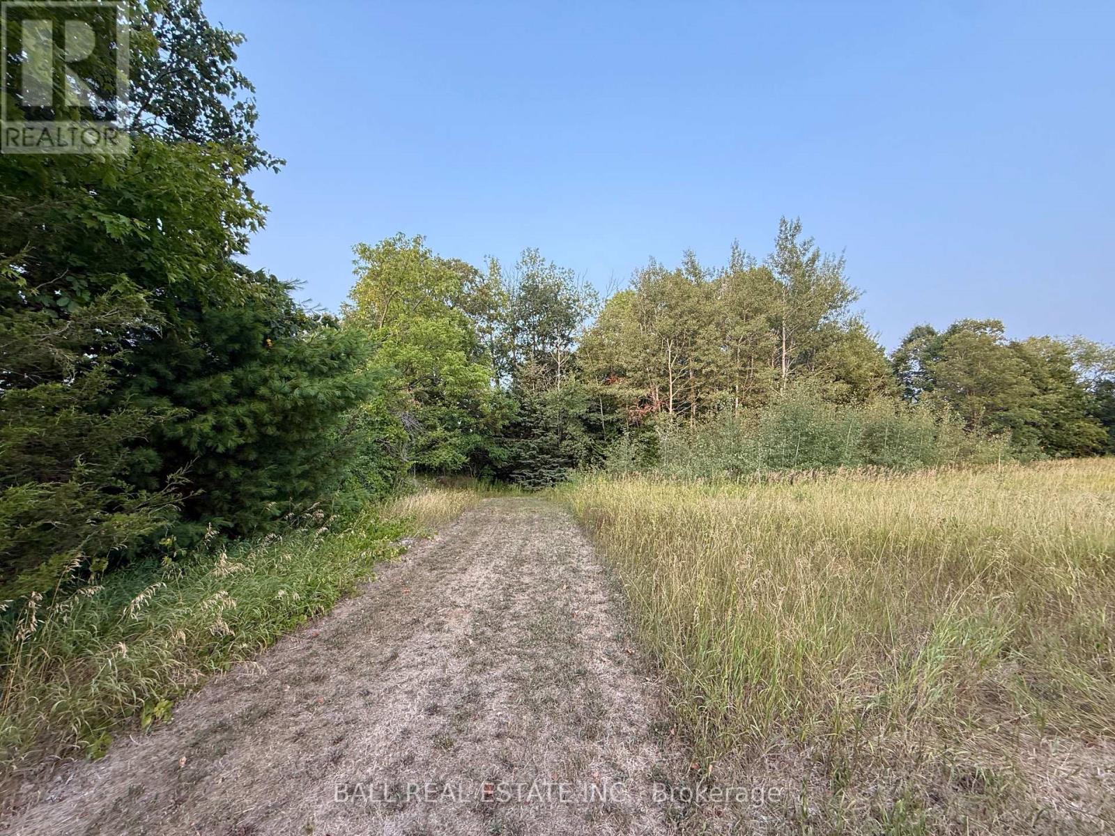 34 Concession Street, Havelock-Belmont-Methuen (Havelock), Ontario  K0L 1Z0 - Photo 8 - X12336611