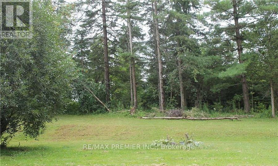 187 Colborne Street, Kawartha Lakes (Lindsay), Ontario  K9V 4R1 - Photo 3 - X12336751