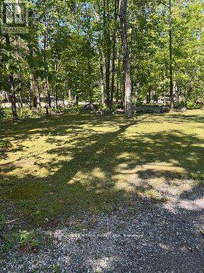134 Mitchell Crescent, Trent Lakes, Ontario  K0L 1J0 - Photo 12 - X12338814