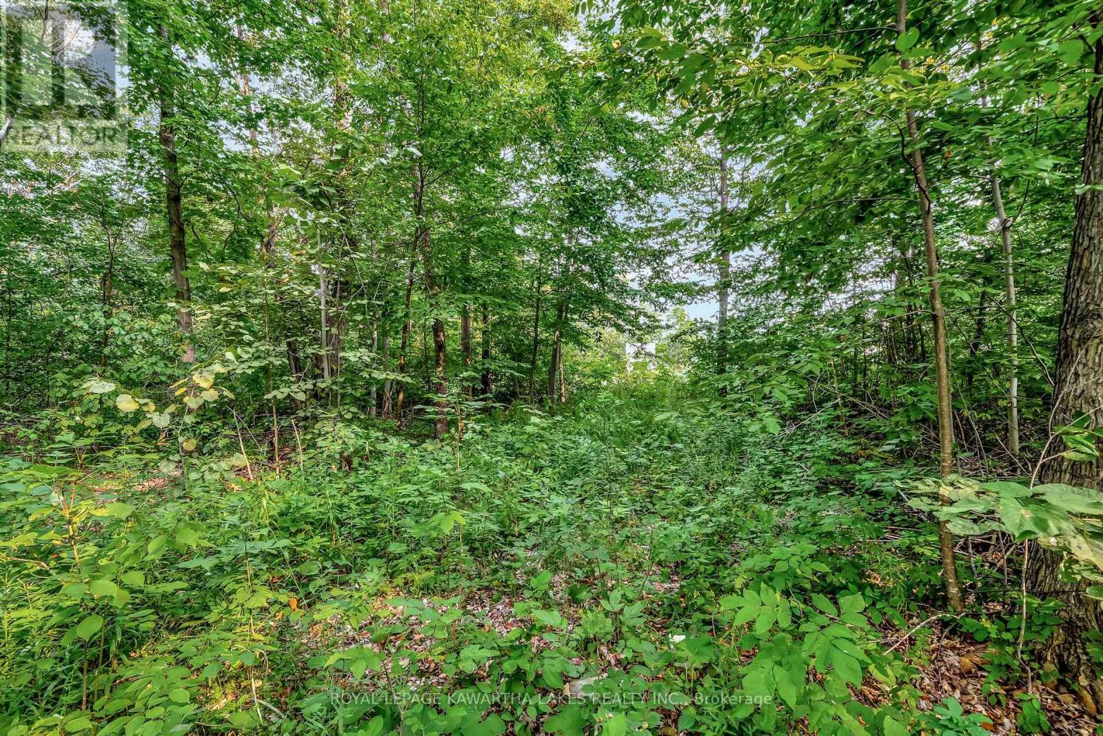 0 Cottingham Road, Kawartha Lakes (Emily), Ontario  K0L 2W0 - Photo 12 - X12339058