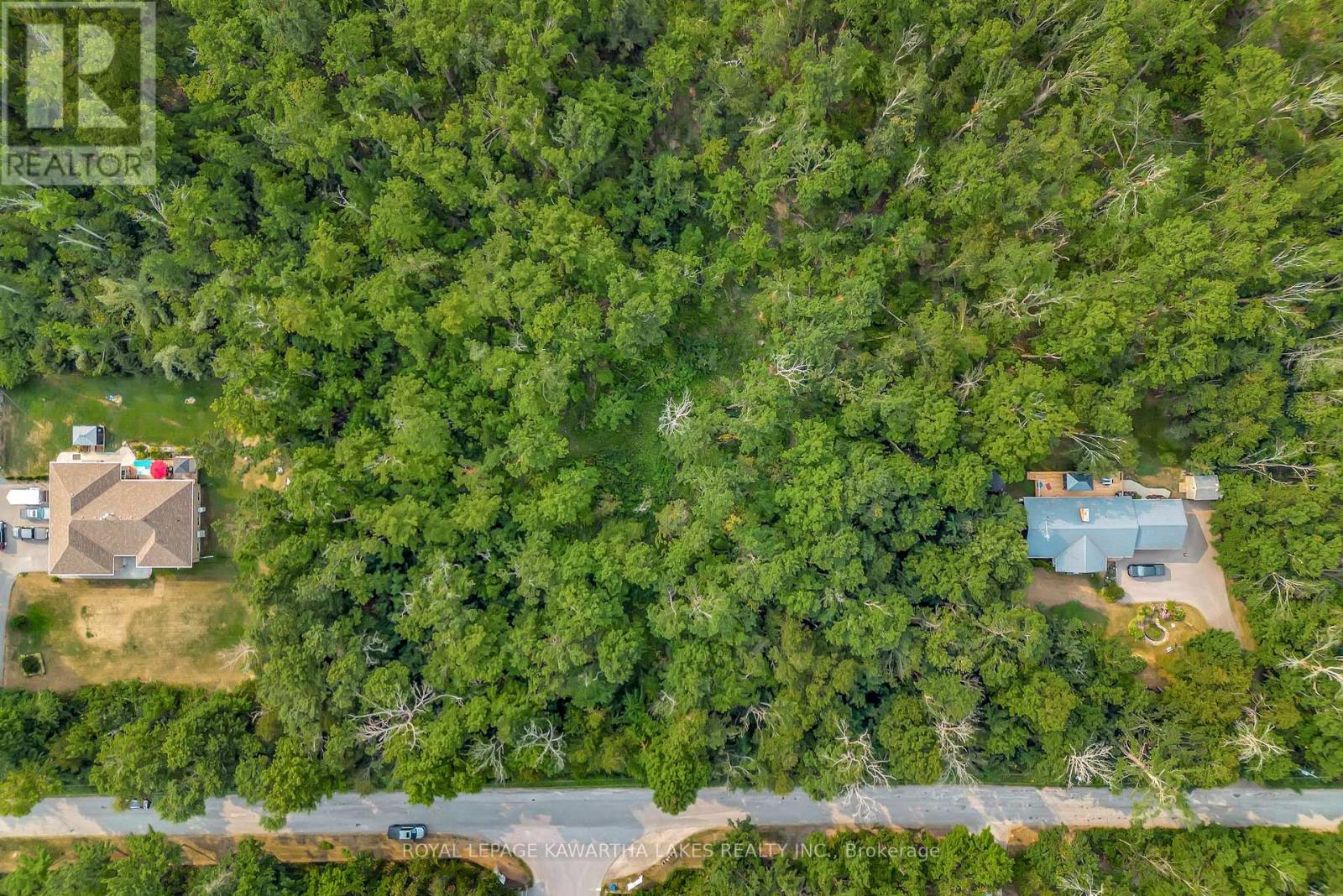 0 Cottingham Road, Kawartha Lakes (Emily), Ontario  K0L 2W0 - Photo 9 - X12339058