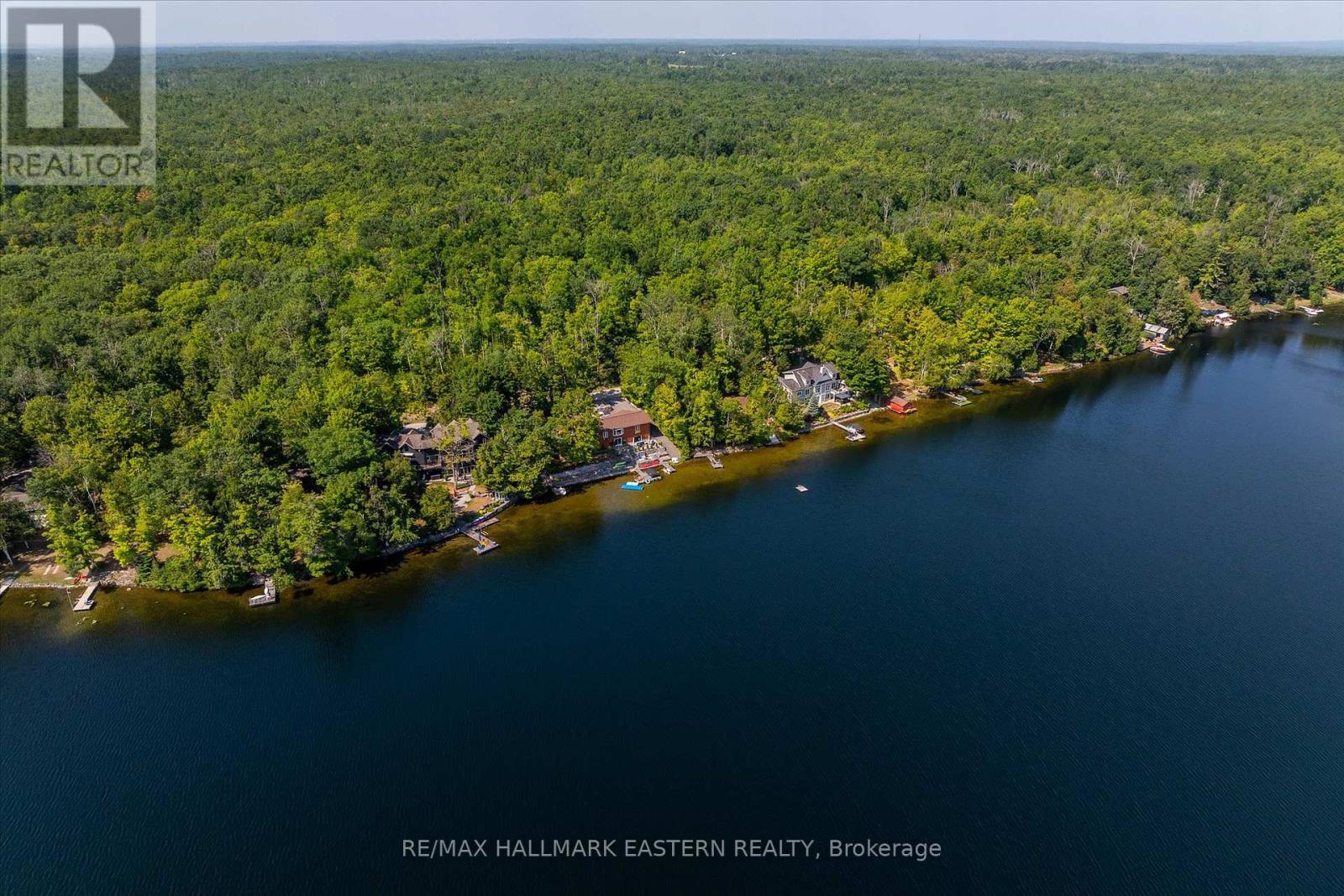 1855 White Lake Road W, Douro-Dummer, Ontario  K0L 2H0 - Photo 49 - X12339550