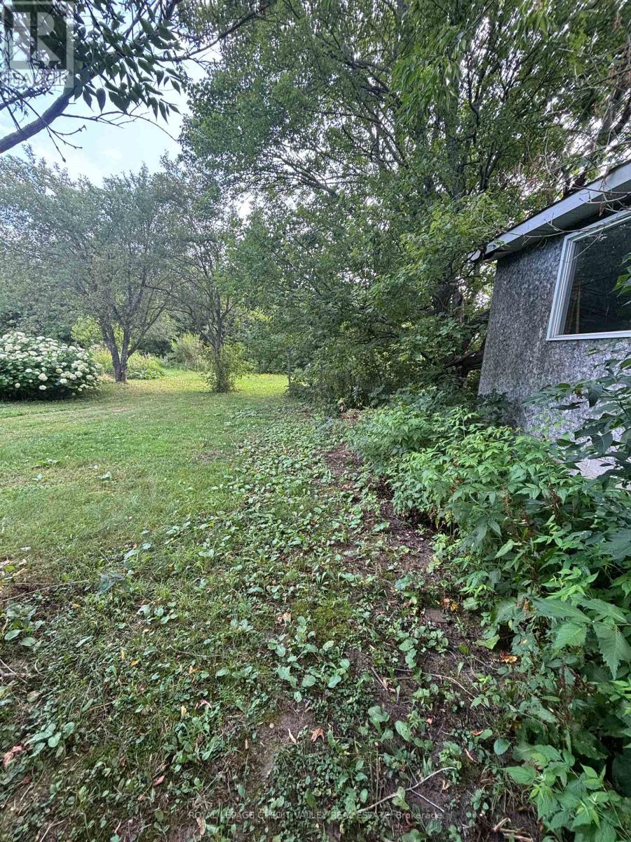 23 Alice Street, Bancroft (Bancroft Ward), Ontario  K0L 1C0 - Photo 11 - X12340443