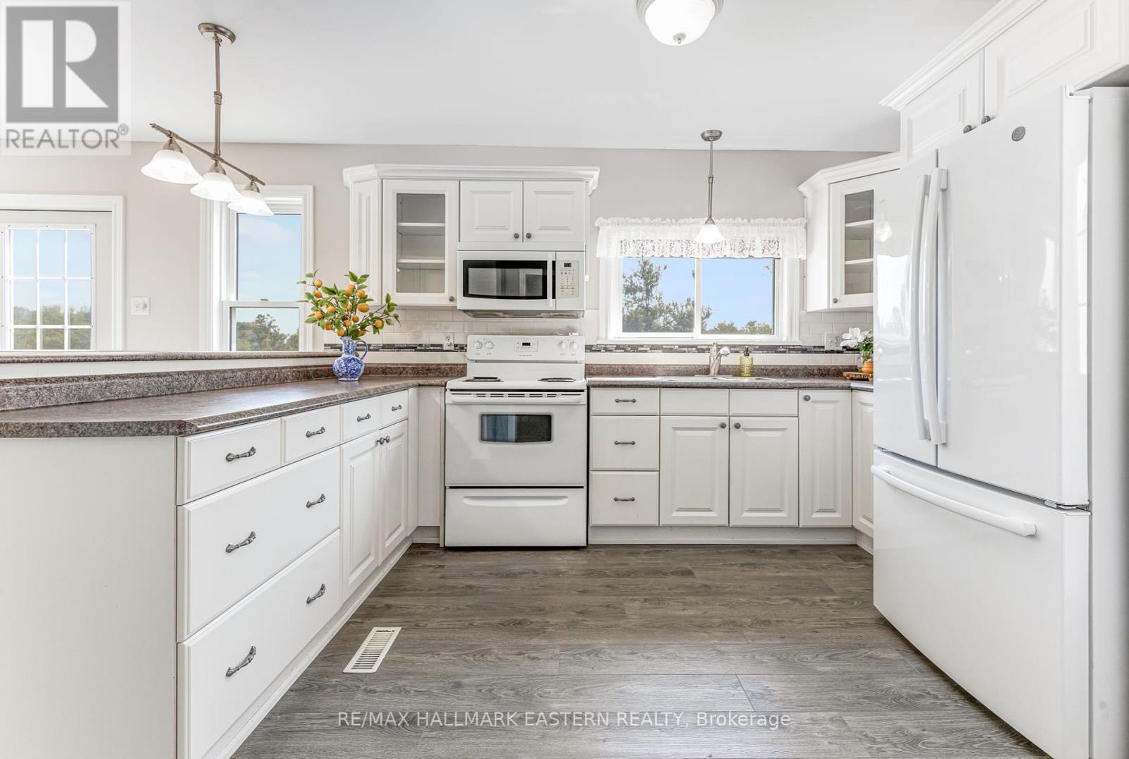 1415 Young's Point Road, Selwyn, Ontario  K0L 2H0 - Photo 7 - X12341399
