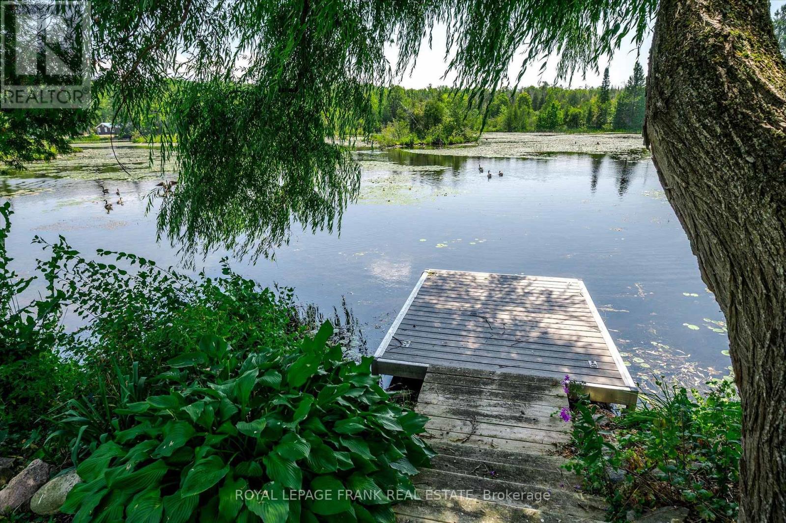 187 River Lane, Douro-Dummer, Ontario  K0L 3A0 - Photo 18 - X12341454