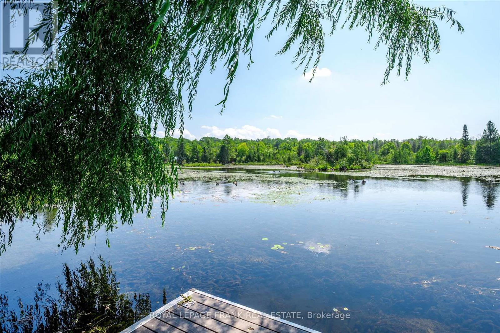 187 River Lane, Douro-Dummer, Ontario  K0L 3A0 - Photo 20 - X12341454