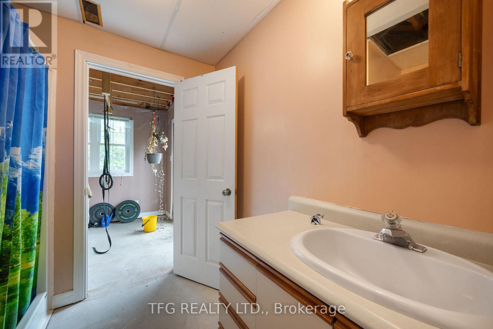 41 Grandview Drive, Kawartha Lakes (Emily), Ontario  K0L 2W0 - Photo 29 - X12341792