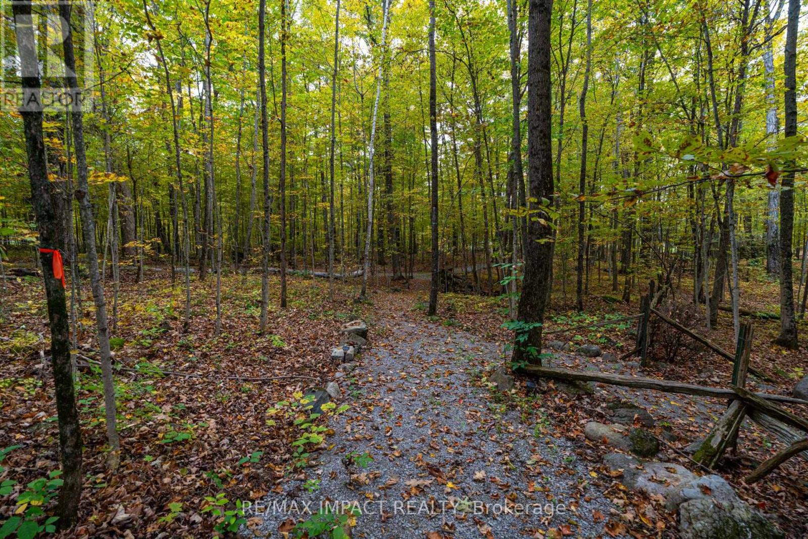 11 Maplewood Court, Trent Lakes, Ontario  K0L 1J0 - Photo 36 - X12342978
