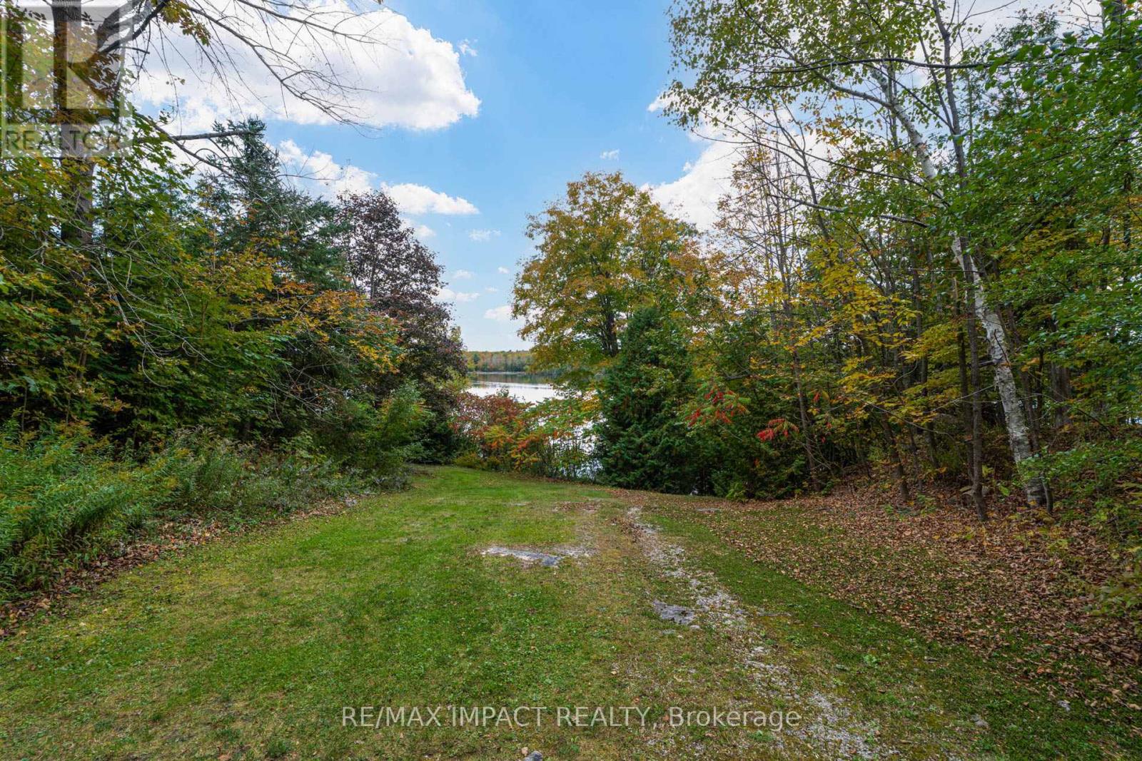 11 Maplewood Court, Trent Lakes, Ontario  K0L 1J0 - Photo 37 - X12342978