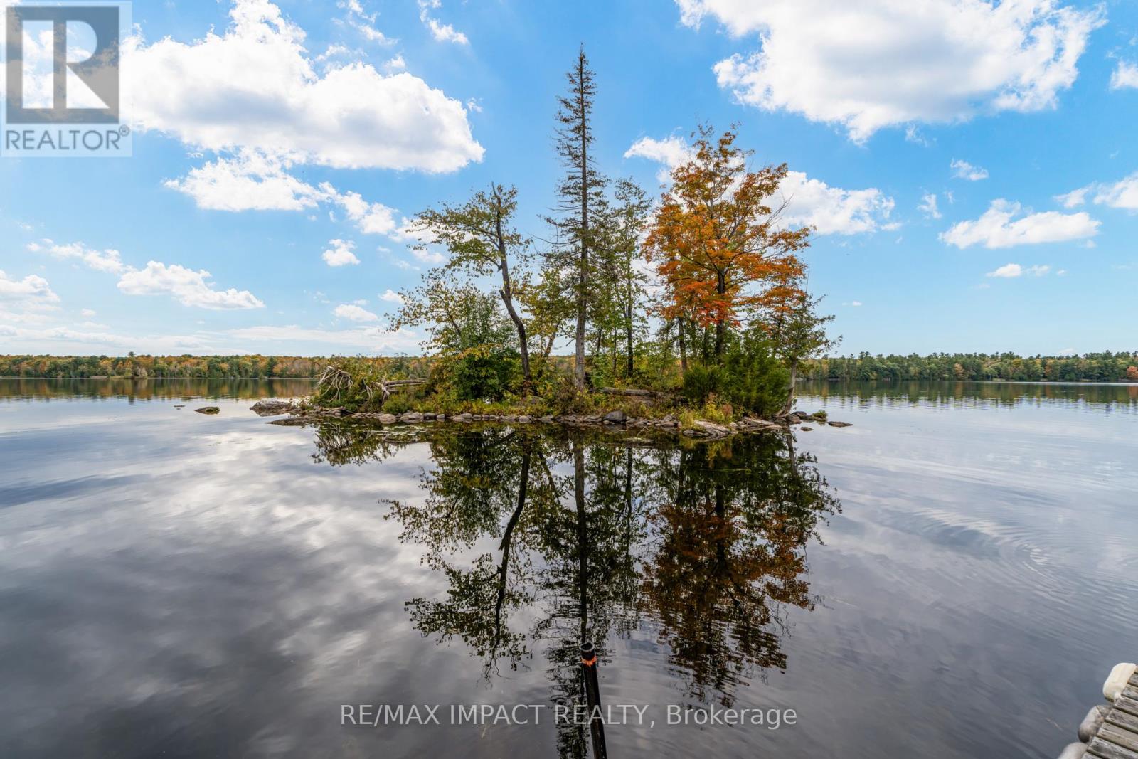 11 Maplewood Court, Trent Lakes, Ontario  K0L 1J0 - Photo 40 - X12342978