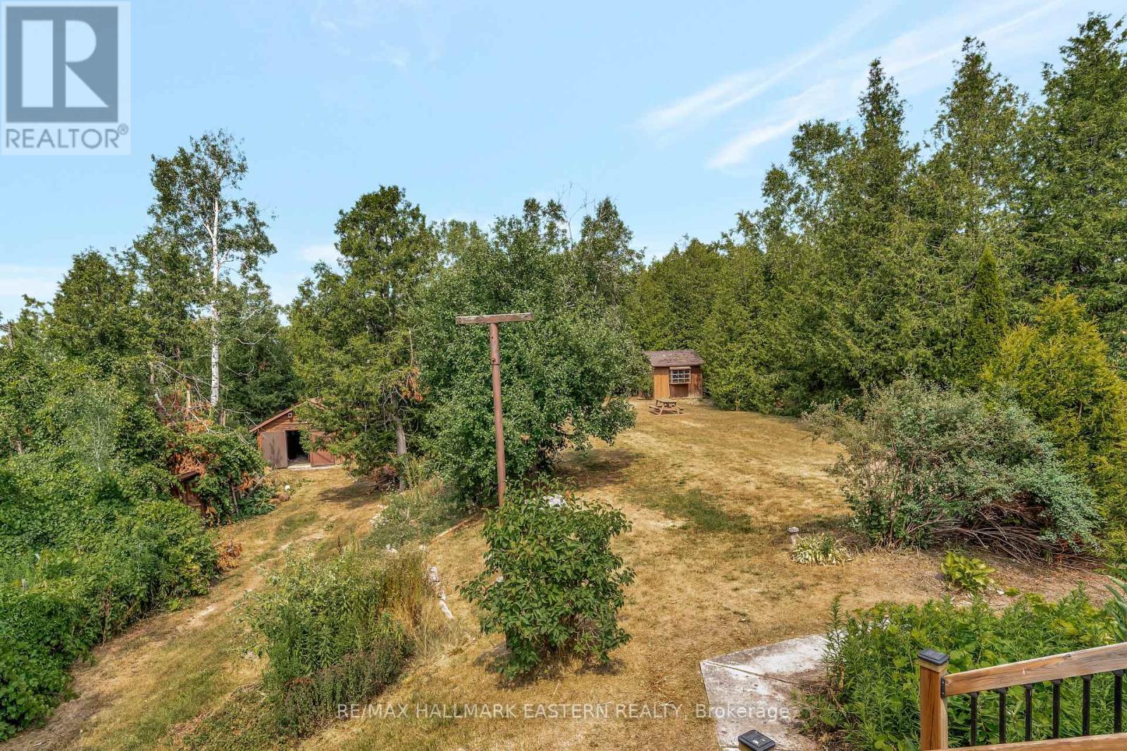 939 Centre Road, Douro-Dummer, Ontario  K0L 2H0 - Photo 47 - X12339792