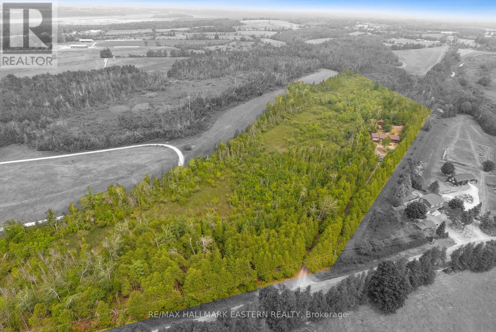 939 Centre Road, Douro-Dummer, Ontario  K0L 2H0 - Photo 5 - X12339792