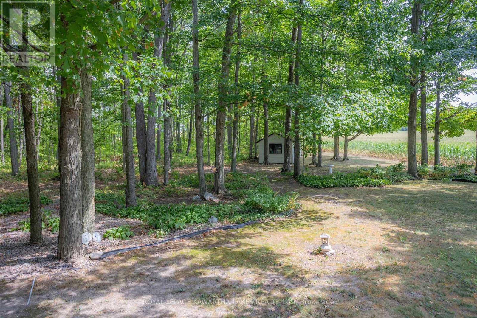 1928 Elm Tree Road, Kawartha Lakes (Ops), Ontario  K9V 4R1 - Photo 46 - X12344837