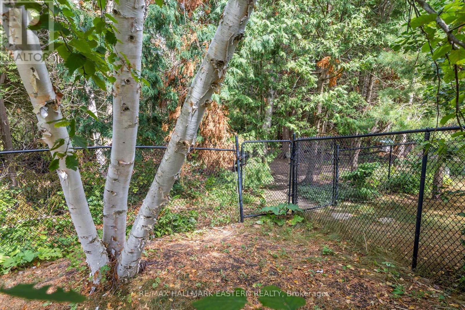 20 Eldon Court, Peterborough East (North), Ontario  K9H 7S1 - Photo 35 - X12345320