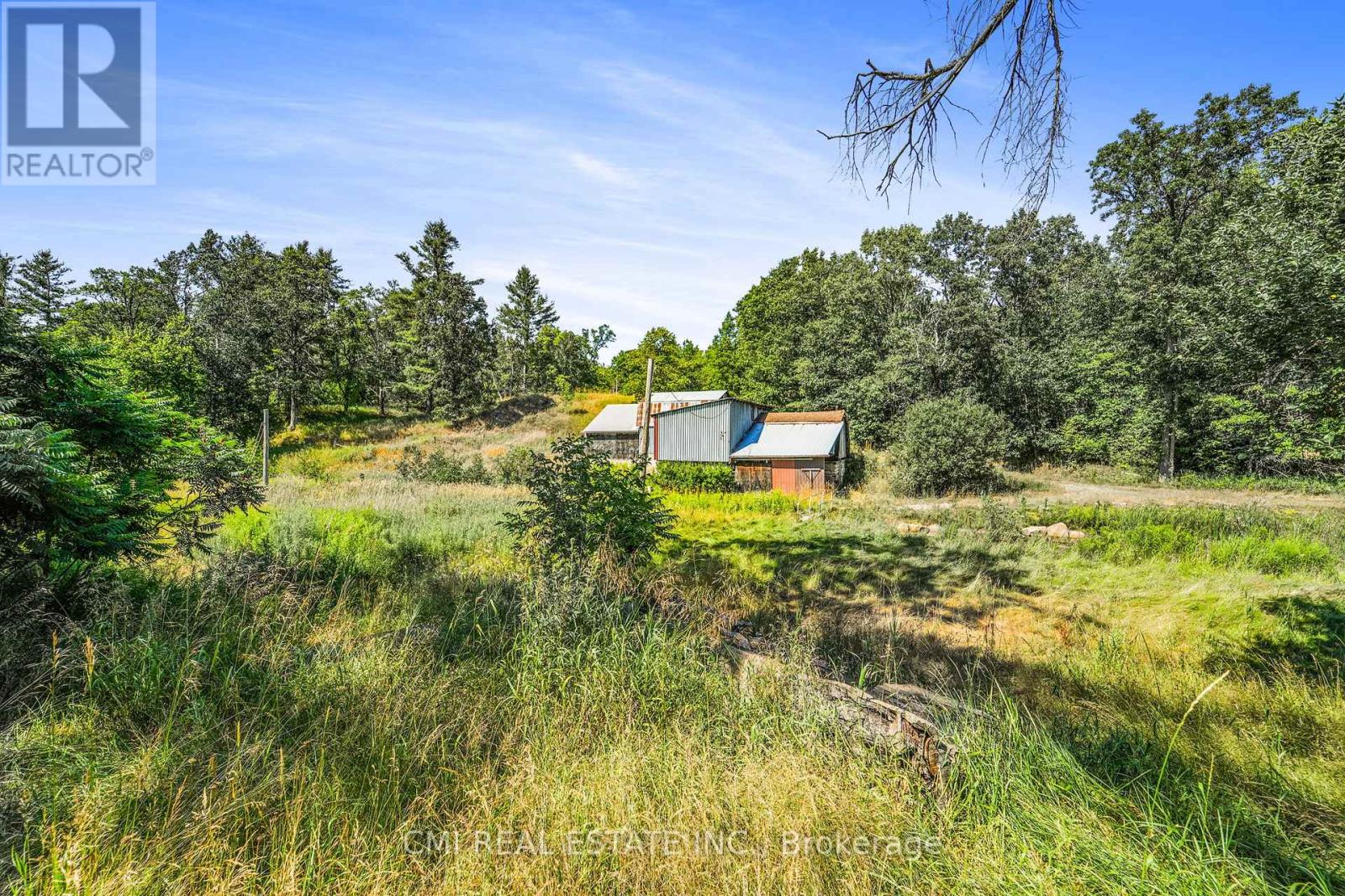 4422 County Rd 6 Road, North Kawartha, Ontario  K0L 2H0 - Photo 38 - X12345248