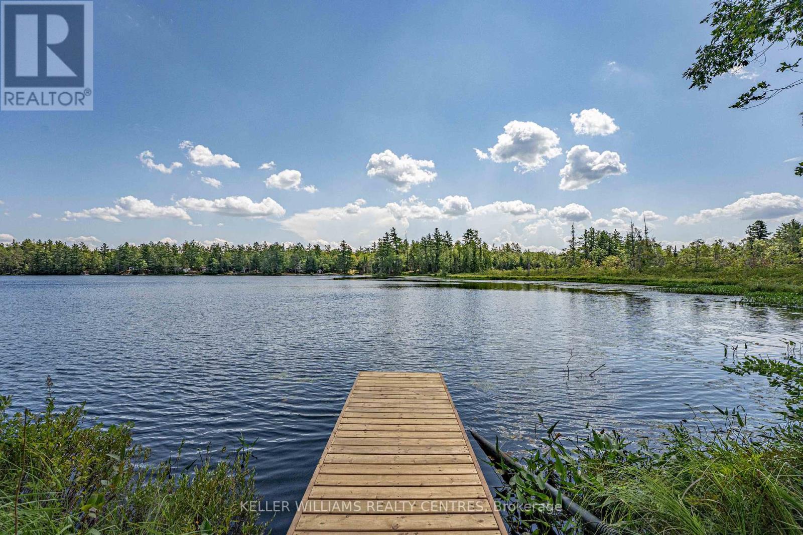 98 Fire Access Road, Trent Lakes, Ontario  K0L 1J0 - Photo 37 - X12345827